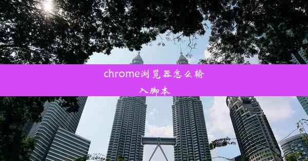 chrome浏览器怎么输入脚本