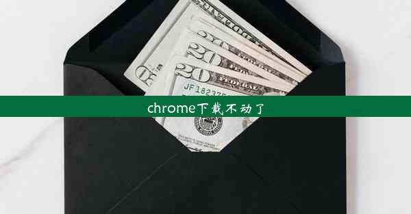 chrome下载不动了