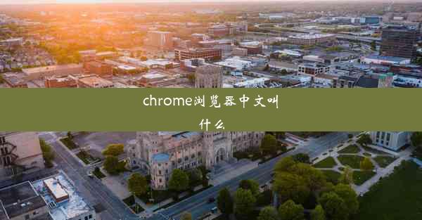 chrome浏览器中文叫什么