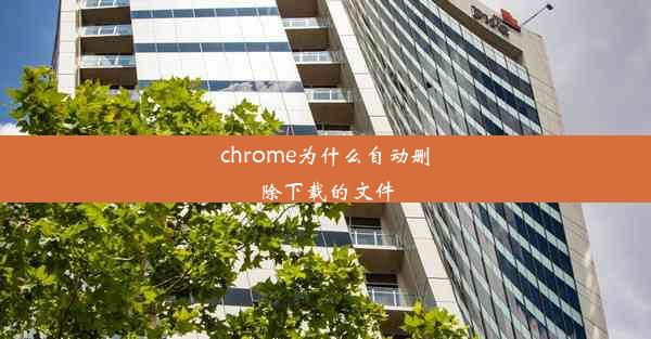 chrome为什么自动删除下载的文件