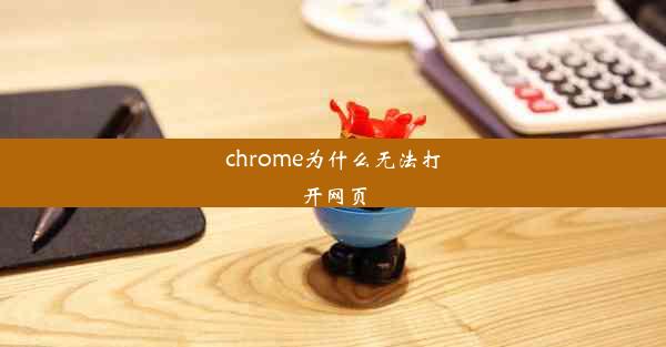 chrome为什么无法打开网页