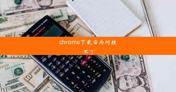 chrome下载后为何搜不了