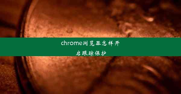 chrome浏览器怎样开启跟踪保护