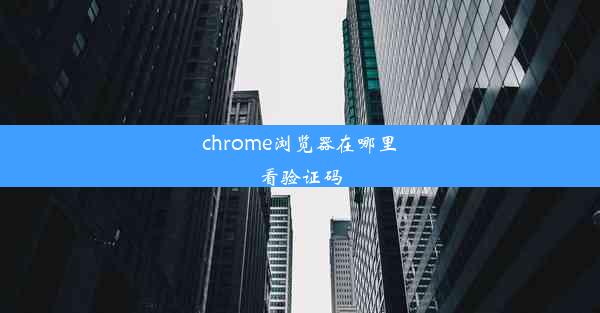 chrome浏览器在哪里看验证码