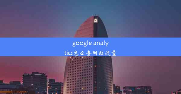 google analytics怎么查网站流量