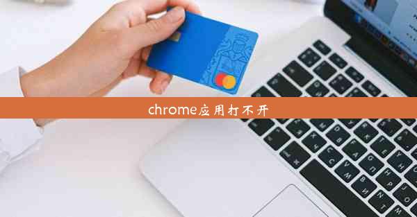 chrome应用打不开