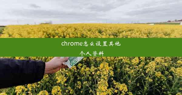 chrome怎么设置其他个人资料