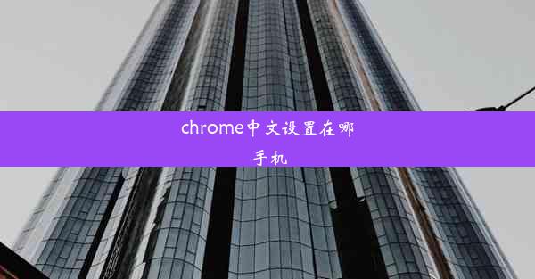 chrome中文设置在哪手机