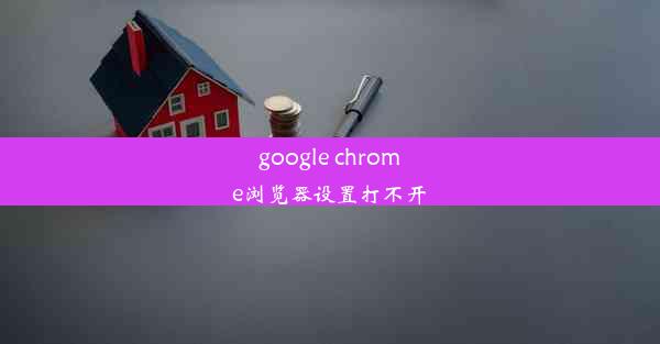 google chrome浏览器设置打不开