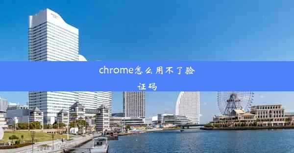 chrome怎么用不了验证码