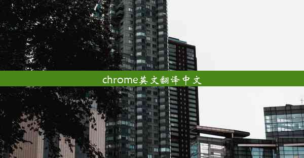 chrome英文翻译中文