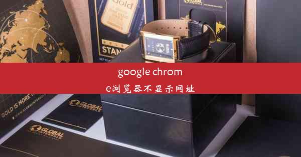 google chrome浏览器不显示网址