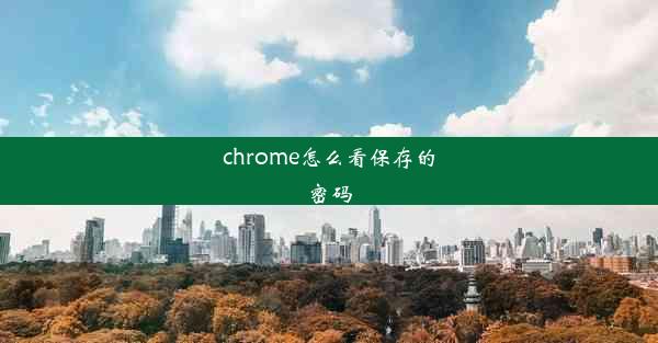 chrome怎么看保存的密码