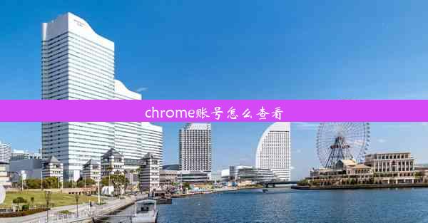 chrome账号怎么查看