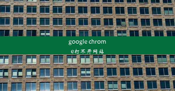 google chrome打不开网站