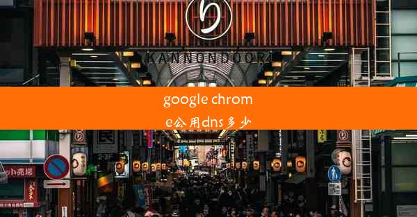 google chrome公用dns多少