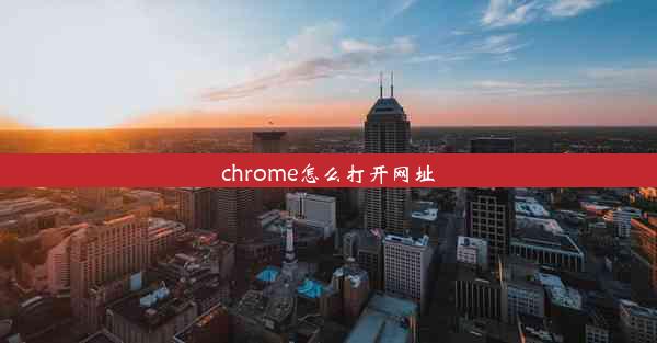 chrome怎么打开网址