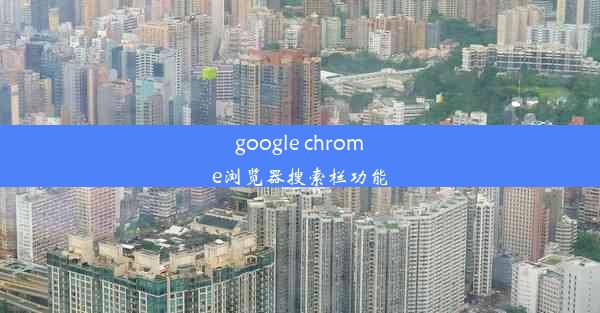 google chrome浏览器搜索栏功能