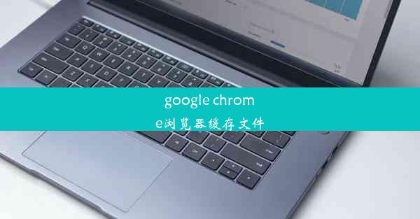 google chrome浏览器缓存文件