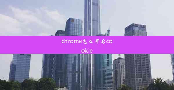 chrome怎么开启cookie