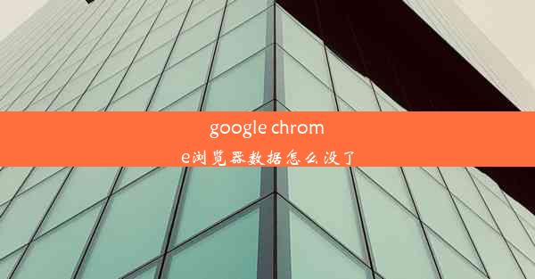 google chrome浏览器数据怎么没了