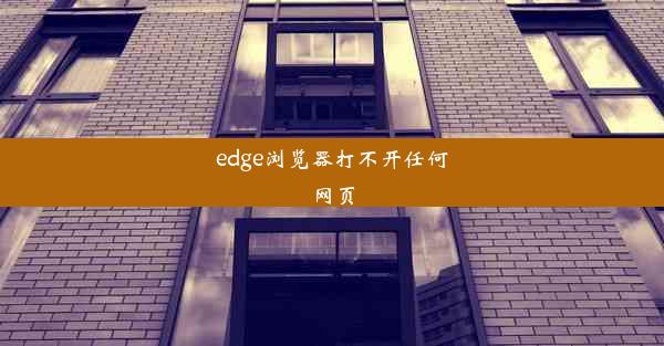 edge浏览器打不开任何网页