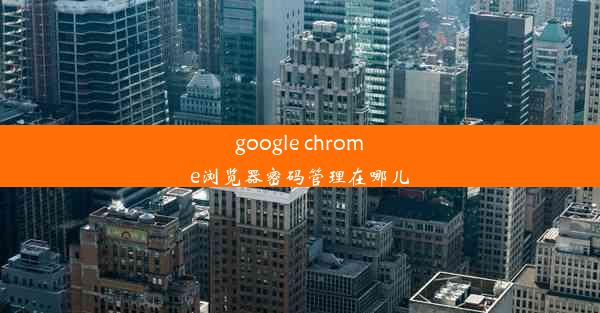 google chrome浏览器密码管理在哪儿