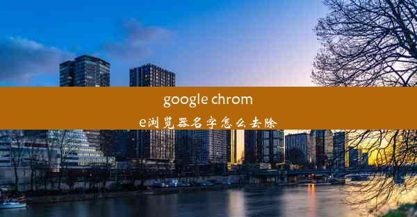 google chrome浏览器名字怎么去除