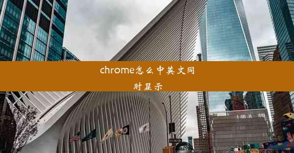 chrome怎么中英文同时显示