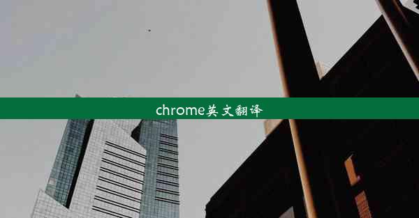 chrome英文翻译