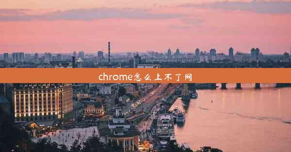 chrome怎么上不了网