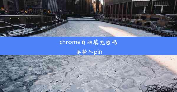 chrome自动填充密码要输入pin