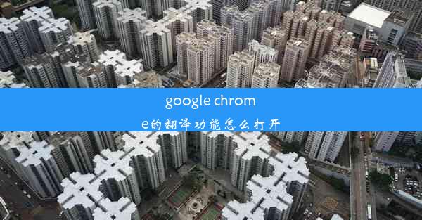 google chrome的翻译功能怎么打开