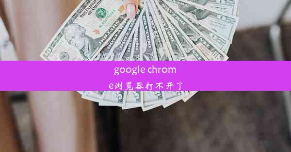 google chrome浏览器打不开了