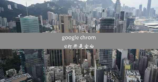 google chrome打开是空白