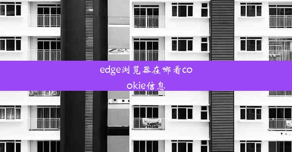 edge浏览器在哪看cookie信息