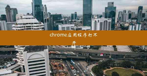 chrome应用程序打不开