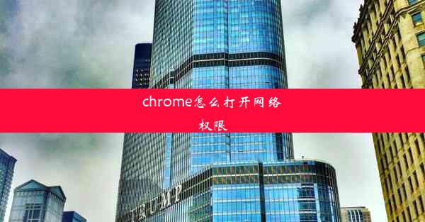 chrome怎么打开网络权限