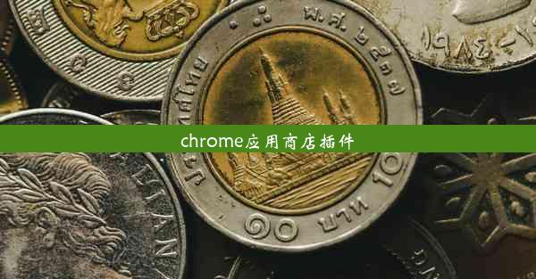 chrome应用商店插件