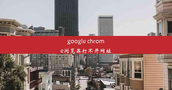 google chrome浏览器打不开网址