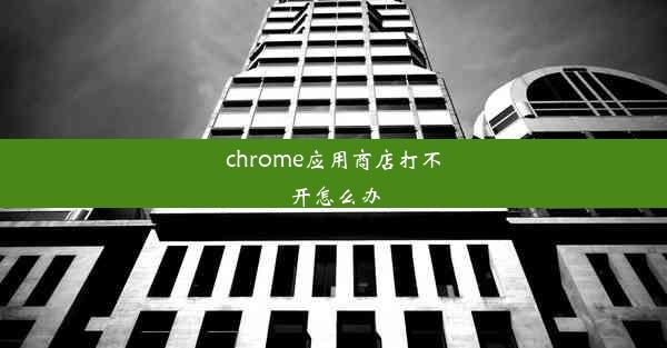 chrome应用商店打不开怎么办