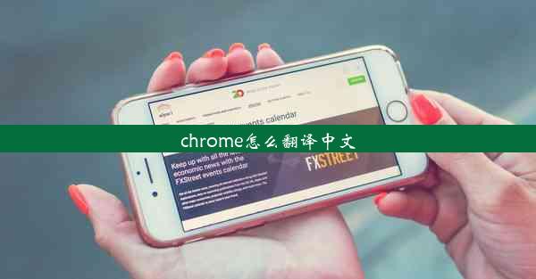 chrome怎么翻译中文