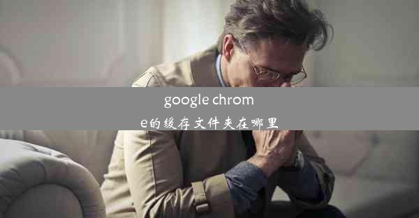 google chrome的缓存文件夹在哪里