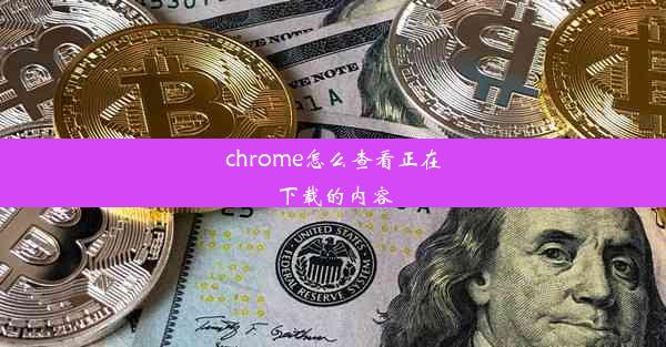 chrome怎么查看正在下载的内容