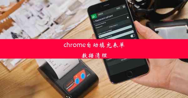 chrome自动填充表单数据清理