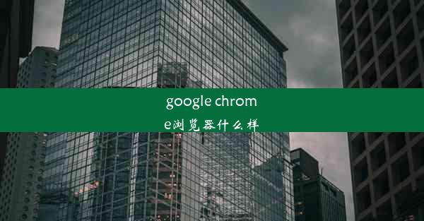 google chrome浏览器什么样