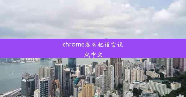 chrome怎么把语言设成中文