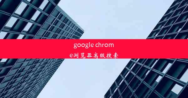 google chrome浏览器高级搜索