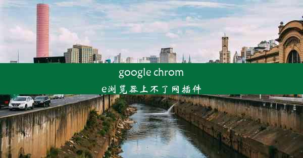 google chrome浏览器上不了网插件