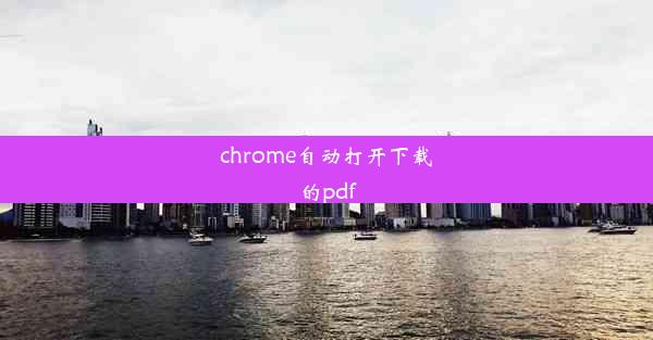 chrome自动打开下载的pdf